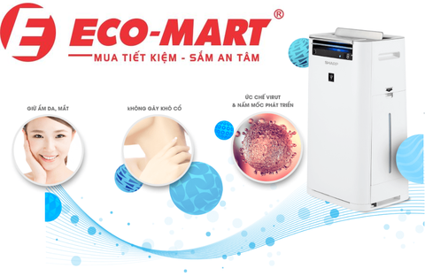 Máy hút ẩm và độ ẩm tốt cho sức khỏe của chúng ta như thế nào?
