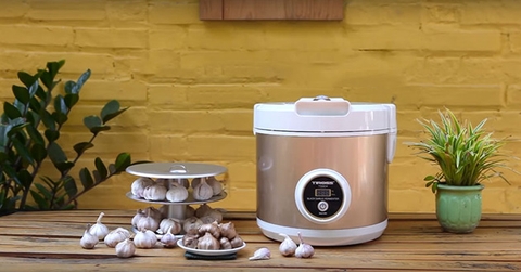 Máy làm tỏi đen là gì? lợi ích của việc sử dụng máy làm tỏi đen