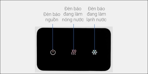 8 công dụng cây nước nóng lạnh mà bạn nên biết