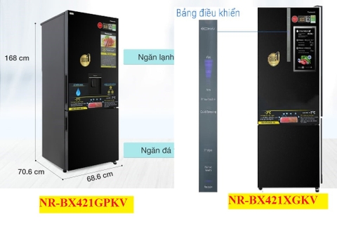 Tủ lạnh Panasonic NR-BX421XGKV Giống và khác NR-BX421GPKV như thế nào?