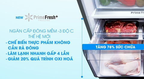 Lý do chọn mua tủ lạnh Panasonic dòng Prime Fresh+
