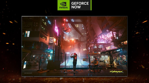 Smart Tivi QNED LG 4K 75 inch 75QNED80TSA – Đỉnh cao công nghệ Tivi 2024