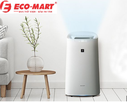 Những hiểu lầm phổ biến về máy lọc không khí