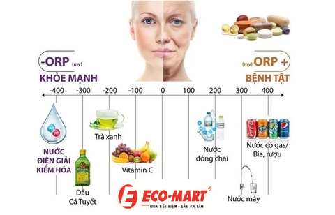 Nước kiềm tươi là gì? Vì sao lại gọi là kiềm tươi? Nước này có lợi ích gì?