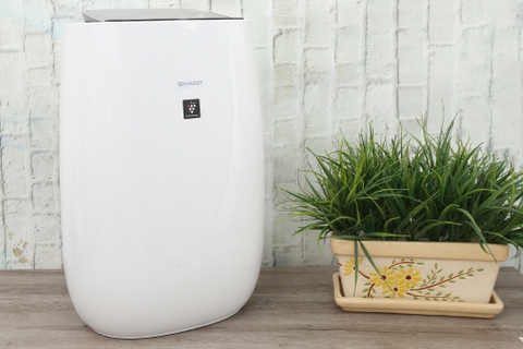 Đánh giá chi tiết máy lọc không khí Sharp FP-J40E-W