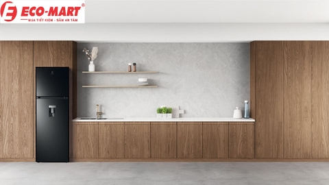 Đánh giá chi tiết: Tủ lạnh Electrolux 341 lít ETB3760M-H 2024