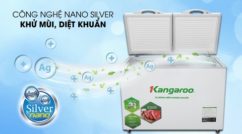 Nên mua tủ đông Sanaky hay Kangaroo?