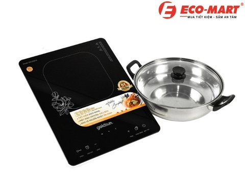 Top 3 mẫu bếp từ đơn giá tốt Goldsun