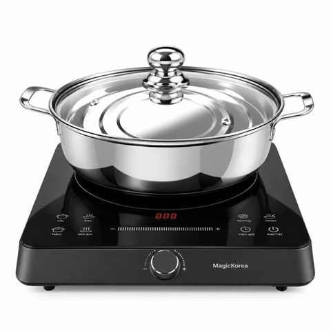 Bếp từ đơn Hawonkoo CEH-106-I-GR