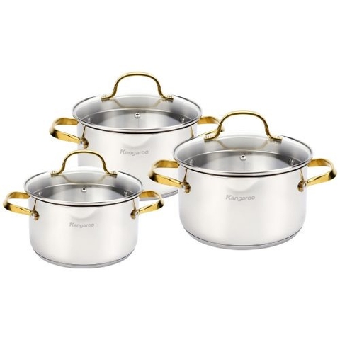 Bộ nồi inox cao cấp 5 lớp Kangaroo KG2IP3S4
