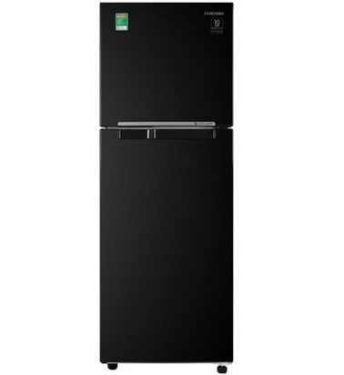 Tủ lạnh Samsung RT22M4032BU/SV Inverter 236 lít