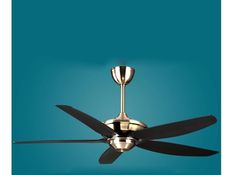 Quạt trần TCL 5 cánh TCL56-YN08(CU) 50W màu đồng