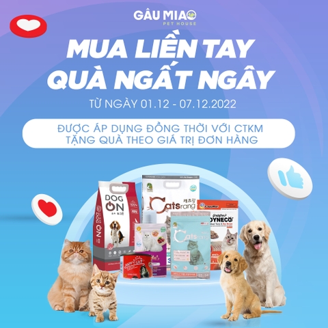 𝗠𝗨𝗔 𝗟𝗜𝗘̂̀𝗡 𝗧𝗔𝗬 - 𝗤𝗨𝗔̀ 𝗡𝗚𝗔̂́𝗧 𝗡𝗚𝗔̂𝗬