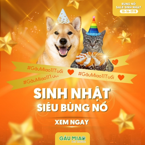 🎉 BÙNG NỔ SALE SINH NHẬT 11 TUỔI -  GÂU MIAO PET HOUSE TẶNG BẠN LOẠT QUÀ KHỦNG 🎉