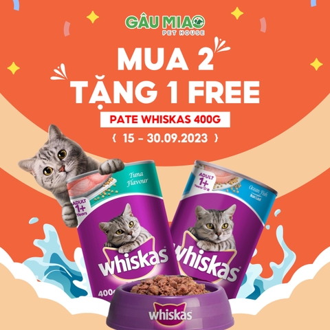 ⚡️ DEAL HỜI THÁNG 9 - GÂU MIAO ƯU ĐÃI "MUA 2 TẶNG 1"