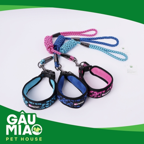 Bộ vòng cổ bản lớn+dây dắt Zichen ZC1775 s.L