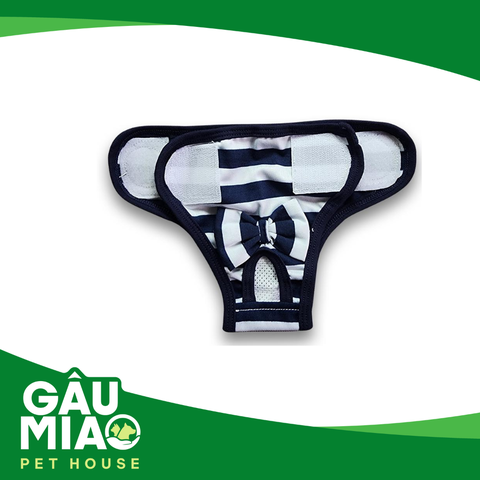 Quần chip cho chó cái