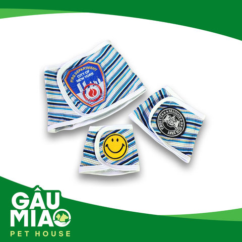 Quần chip cho chó đực