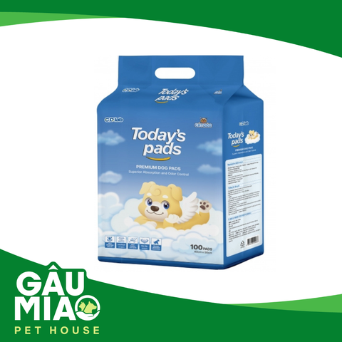 Today’s pads - Tã lót cho chó 100 miếng (40x50cm)