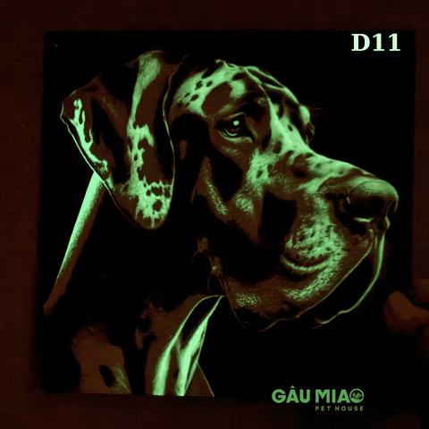 Tranh dạ quang in 3D