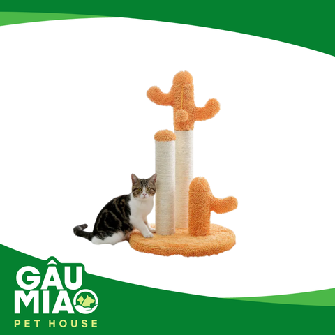 Trụ mèo xương rồng cam AMT0066OG-L-MN 42x42x68.5cm