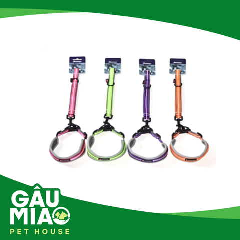 Bộ vòng cổ + dây dắt nylon chống thấm