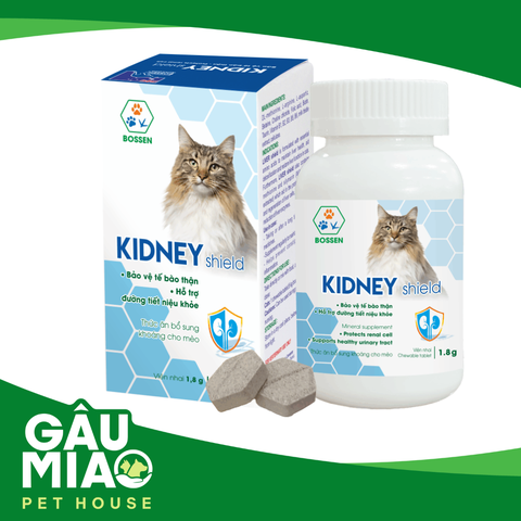 Kidney Shield Cat - Bảo vệ tế bào thận ở mèo