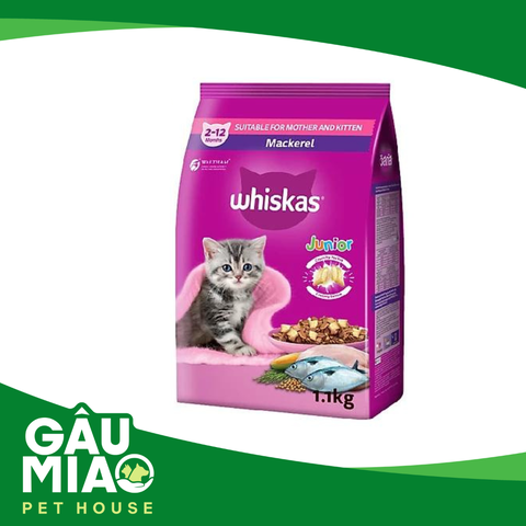 Whiskas Junior Mackerel