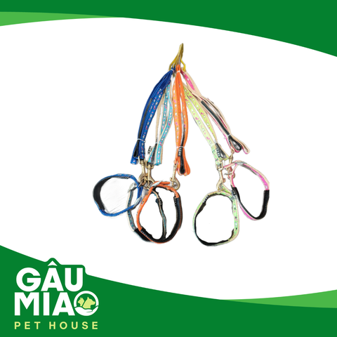 Bộ dắt+vòng cổ đệm HK Rabbit