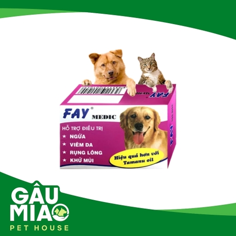 Xà bông FAY MEDIC 100g - Hỗ trợ trị ngứa, ghẻ, xà mâu, nấm da