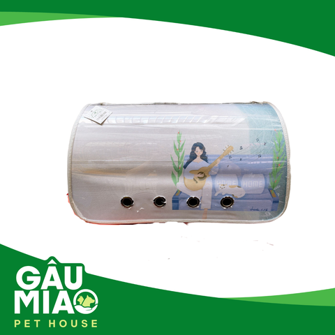 Túi trong cô gái XB1