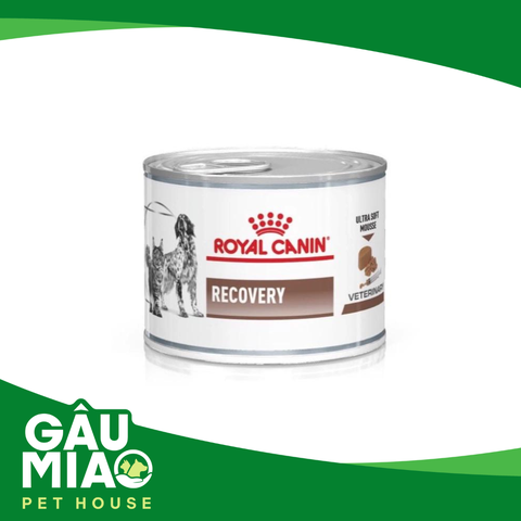 Royal Canin Pate Recovery 195g