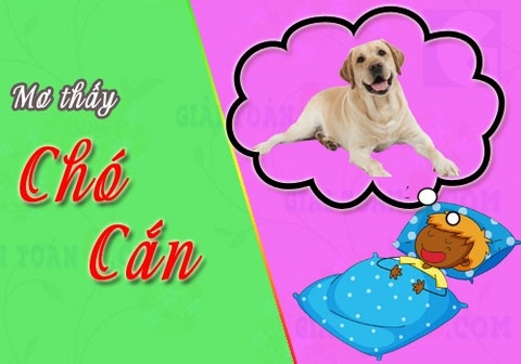 Bí ẩn xoay quanh việc mơ bị chó cắn? Điều tốt hay xấu?