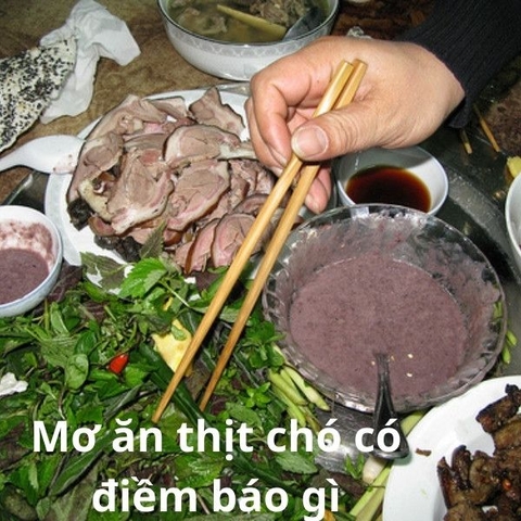 Giải đáp- Giấc mơ ăn thịt chó và những con số may mắn ẩn sau