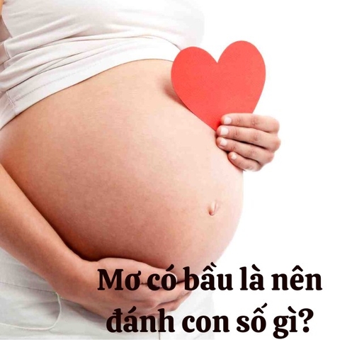 Nằm mơ có bầu là điềm gì và những ý nghĩa thú vị liên quan