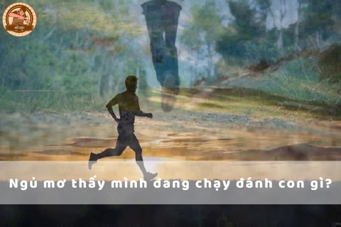 Ngủ mơ thấy mình đang chạy đánh con gì để thắng lớn?