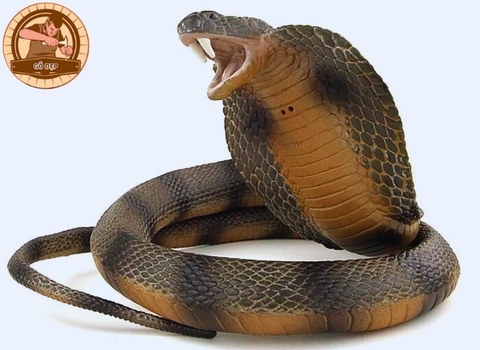 Nằm mơ thấy rắn cắn chân là điềm gì? Liệu có cần lo lắng?