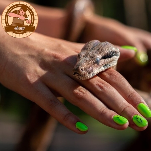 Nằm mơ thấy rắn cắn tay - Đây là điềm vận may hay sóng gió?