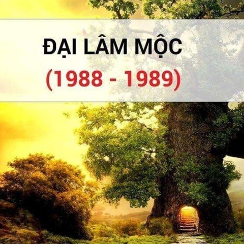 Đại Lâm Mộc là gì? Bật mí về tính cánh, sự nghiệp và vận mệnh