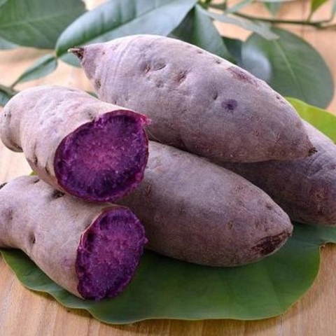 Giải mã con số may mắn liên quan đến giấc mơ khoai lang