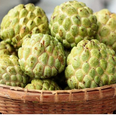 Giải mã hiện tượng mơ quả na chín đánh con gì dễ trúng lớn?