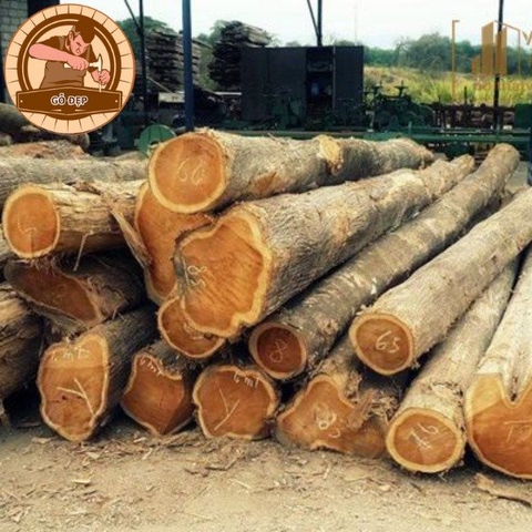 Gỗ kháo - Nghệ thuật chế tác độc đáo cho không gian sống