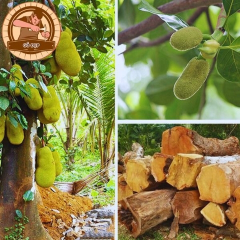 Bài Vị Gỗ Long Não Khắc Chữ Màu Nâu Chạm Rồng 08