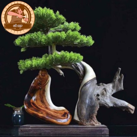 Tìm hiểu về gỗ nhai bách: Tính độc đáo và ứng dụng đa dạng