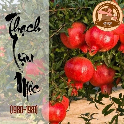 Thạch Lựu Mộc mang vận mệnh đặc biệt mà rất ít người biết