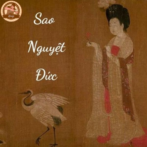 Lý giải về Sao Nguyệt Đức: Cát tinh hóa giải hung hại 2023