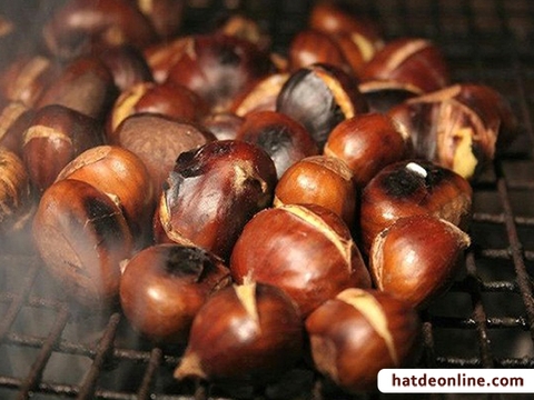 10++ công dụng của hạt dẻ