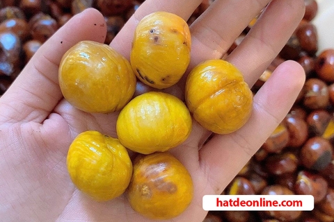 Hạt dẻ chứa bao nhiêu calo? Ăn hạt dẻ có béo không?