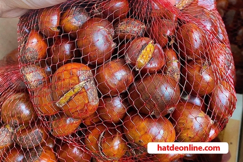 Tác dụng của hạt dẻ ít người biết đến