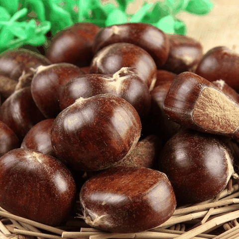 1KG Hạt Dẻ Tươi